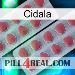 Cidala 19